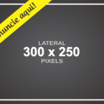 banner-300×250